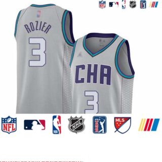 Hornets #3 Terry Rozier Gray Basketball Jordan Swingman City Edition 2019 20 Jersey