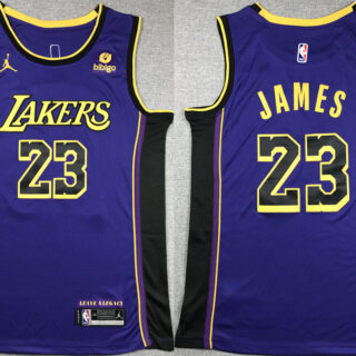 Men's Los Angeles Lakers #23 LeBron James Purple Stitched Basketball Jersey
