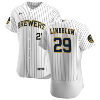 Milwaukee Brewers #29 Josh Lindblom Men's Nike White Home 2020 Authentic Player MLB Jersey