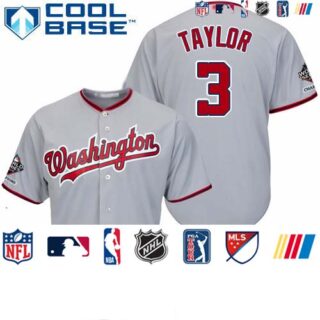 Nationals #3 Michael Taylor Grey Cool Base 2019 World Series Champions Stitched Youth Baseball Jersey
