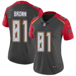 Women's Nike Buccaneers #81 Antonio Brown Gray Women's Stitched NFL Limited Inverted Legend Jersey