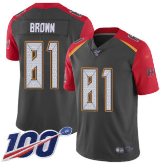 Youth Nike Buccaneers #81 Antonio Brown Gray Youth Stitched NFL Limited Inverted Legend 100th Season Jersey