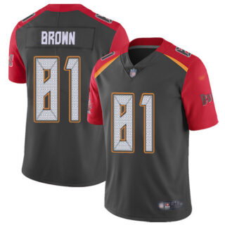 Youth Nike Buccaneers #81 Antonio Brown Gray Youth Stitched NFL Limited Inverted Legend Jersey
