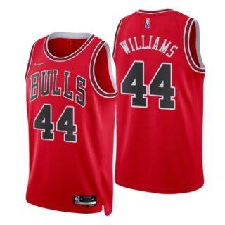 Men's #44 Patrick Williams Chicago Bulls 75th Anniversary Diamond Jersey
