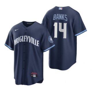 Youth Chicago Cubs Ernie Banks City Connect Wrigleyville Jersey Navy Stitched