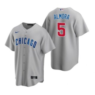 Men's Albert Almora Jr. Chicago Cubs Cool Base Jersey Gray