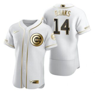 Men's Ernie Banks Chicago Cubs Flex Base Jersey White Golden