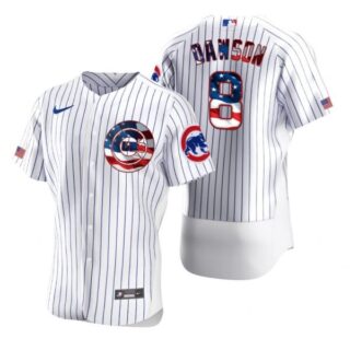 Men's Andre Dawson Chicago Cubs Flex Base Jersey White Stars