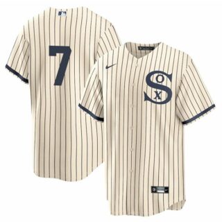 Youth Chicago White Sox #7 Tim Anderson Field of Dreams Throwback Jersey Stitched