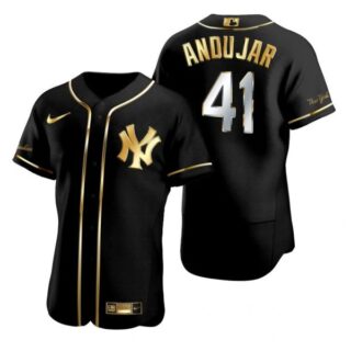 Men's Miguel Andujar New York Yankees Flex Base Jersey Black Golden