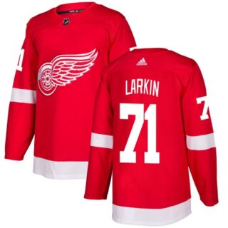Youth Detroit Red Wings #71 Dylan Larkin Red Home Authentic Stitched NHL Jersey