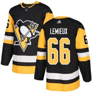Youth Pittsburgh Penguins #66 Mario Lemieux Black Home Authentic Stitched NHL Jersey