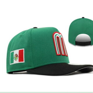 LMB Monterrey Baseball Snapback Hat Green Black Mexico