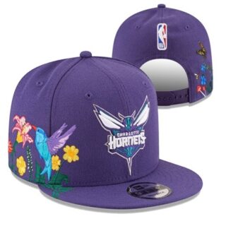 NBA Charlotte Hornets Stitched Snapback Hats