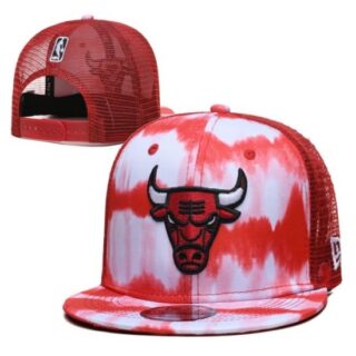 NBA Chicago Bulls Stitched Snapback Hats
