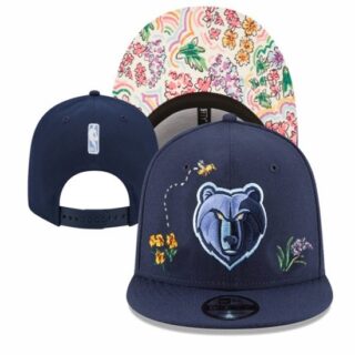 NBA Memphis Grizzlies Stitched Snapback Hats