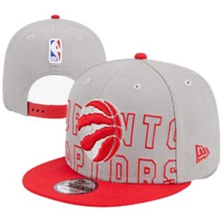 NBA Toronto Raptors Stitched Snapback Hats