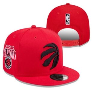 NBA Toronto Raptors Stitched Snapback Hats