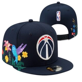 NBA Washington Wizards Stitched Snapback Hats