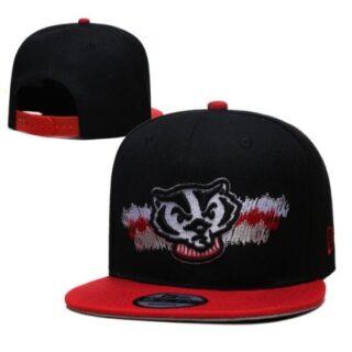 NCAA Snapback Hats