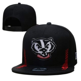 NCAA Snapback Hats
