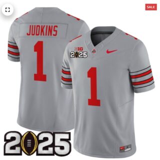 Men's Ohio State Buckeyes 'Heritage Stripe' 2025 CFP Final Patch Vapor Limited Jersey Gray Quinshon Judkins