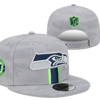 Seattle Seahawks 2025 Stitched Snapback Hats