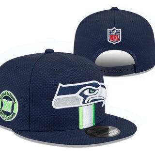 Seattle Seahawks 2025 Stitched Snapback Hats
