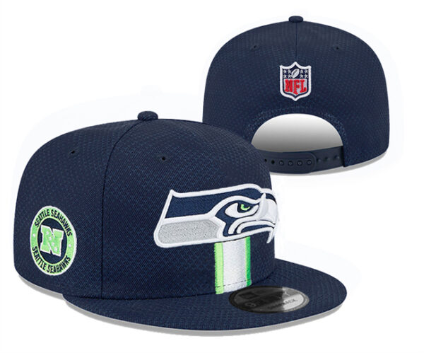 Seattle Seahawks 2025 Stitched Snapback Hats