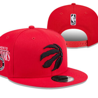 Toronto Raptors 2025 Stitched Snapback Hats